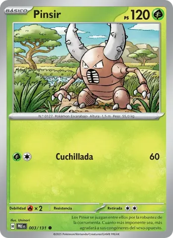 Pinsir · 003