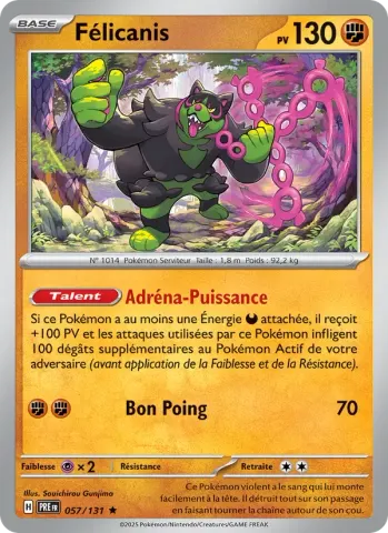 Félicanis · 057