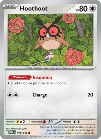 Hoothoot · 077