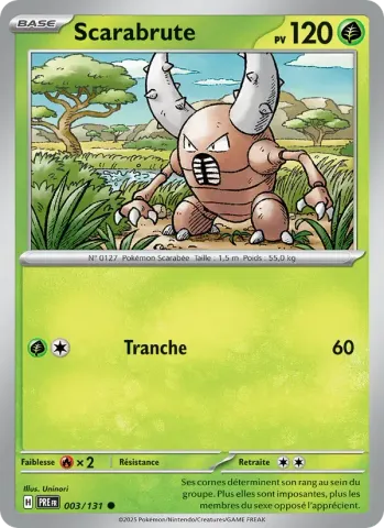 Scarabrute · 003