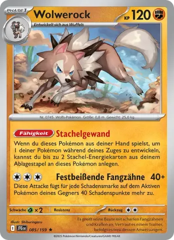 Wolwerock · 085