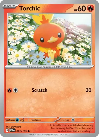 Torchic · 022
