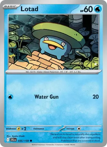 Lotad · 035