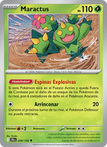 Maractus · 008