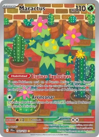Maractus · 160