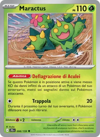 Maractus · 008