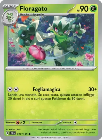 Floragato · 017