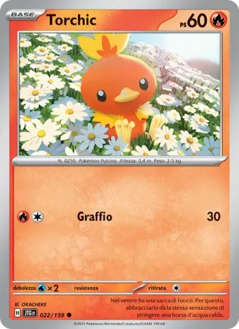 Torchic · 022