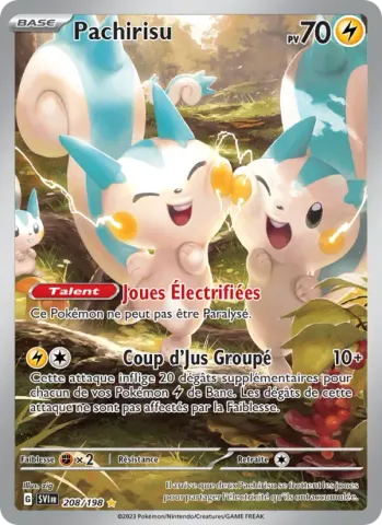 Pachirisu · 208