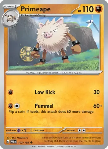 Primeape · 107