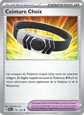 Ceinture Choix · 176