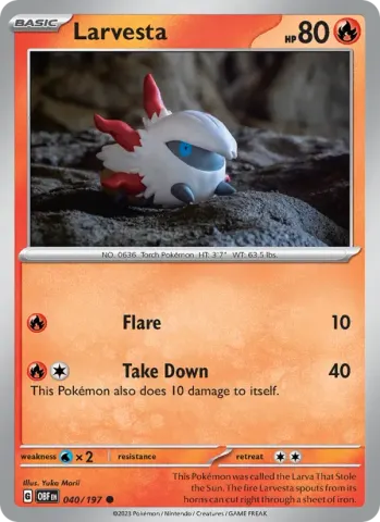 Larvesta · 040