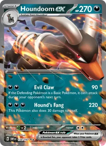 Houndoom ex · 134