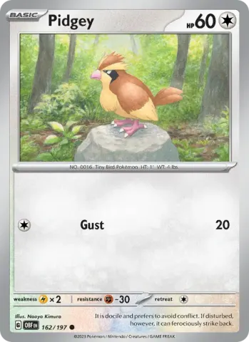 Pidgey · 162