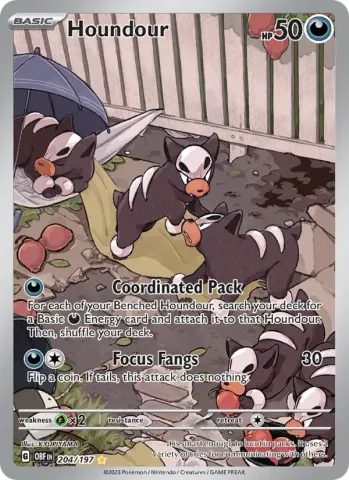 Houndour · 204