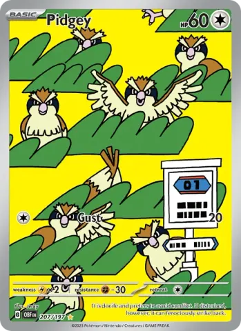 Pidgey · 207