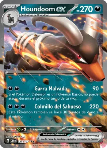 Houndoom ex · 134