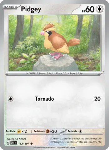 Pidgey · 162