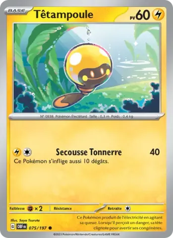 Têtampoule · 075