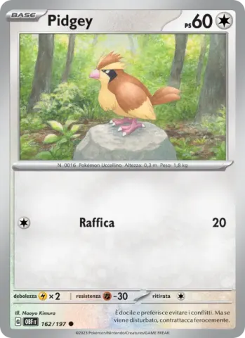 Pidgey · 162