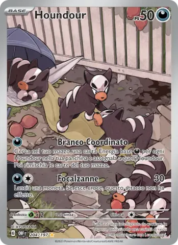 Houndour · 204