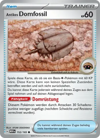 Antikes Domfossil · 152