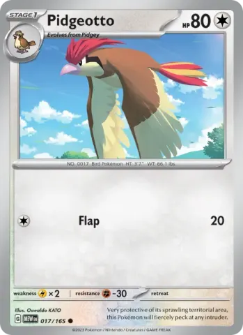 Pidgeotto · 017