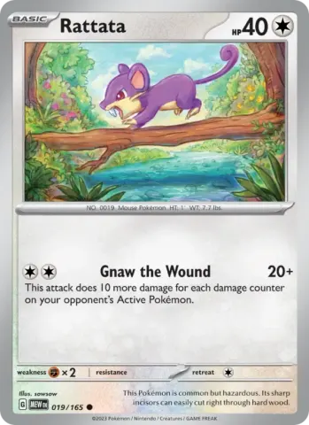 Rattata · 019