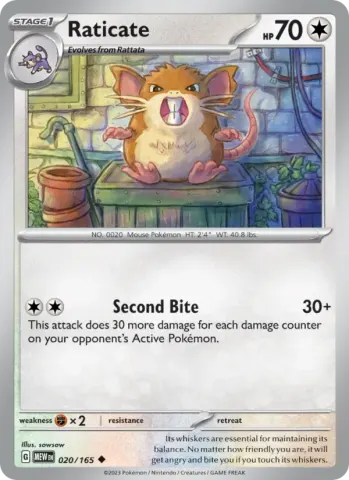 Raticate · 020