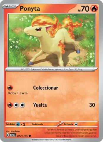Ponyta · 077