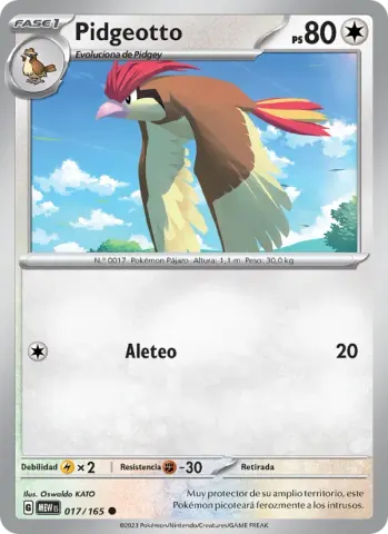Pidgeotto · 017