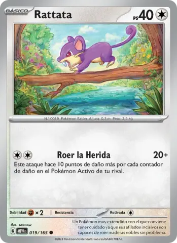 Rattata · 019