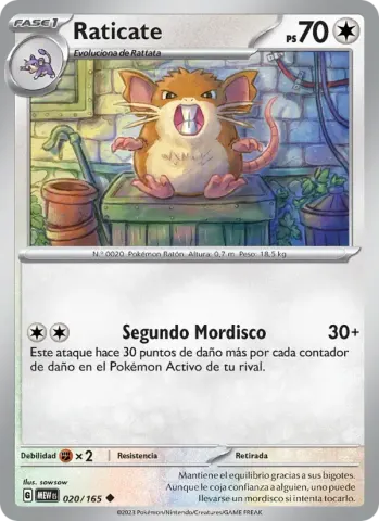 Raticate · 020