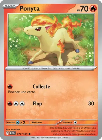 Ponyta · 077