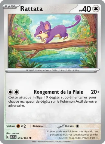 Rattata · 019