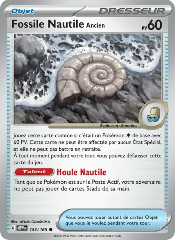 Fossile Nautile Ancien · 153