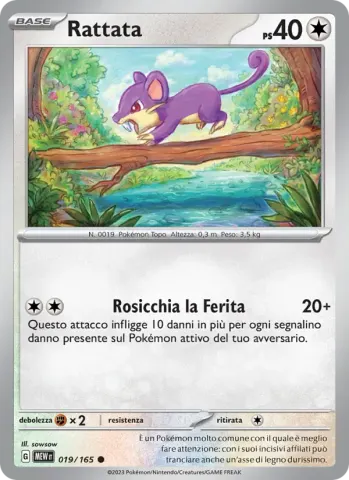 Rattata · 019