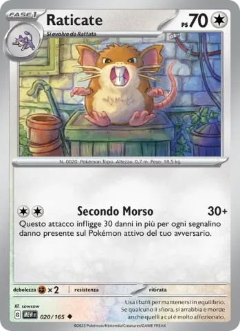 Raticate · 020