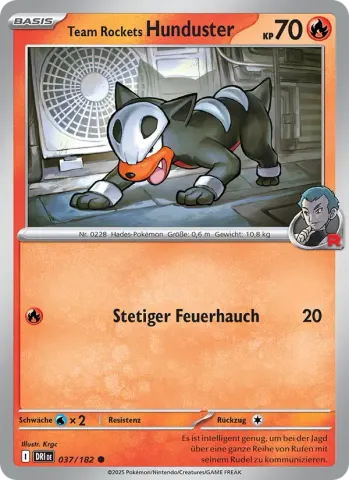 Team Rockets Hunduster · 037