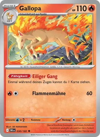 Gallopa · 030