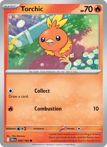 Torchic · 040