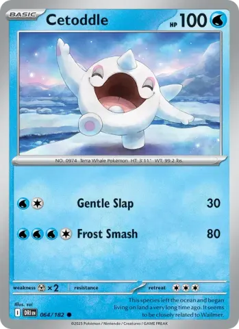 Cetoddle · 064