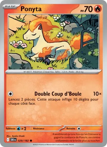 Ponyta · 029