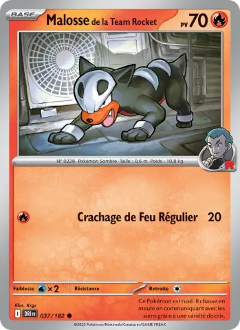Malosse de la Team Rocket · 037