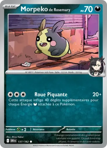 Morpeko de Rosemary · 137