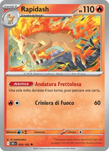 Rapidash · 030
