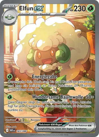 Elfun-ex · 165