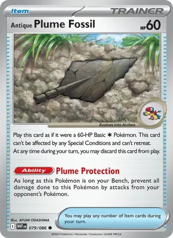 Antique Plume Fossil · 079