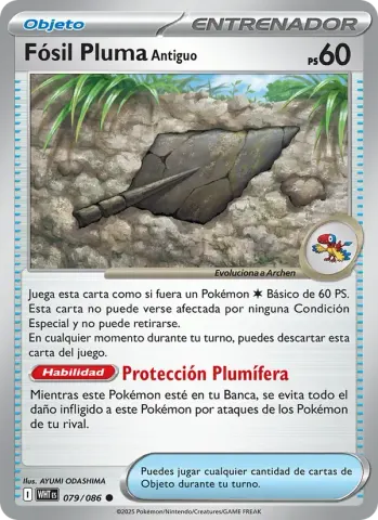 Fósil Pluma Antiguo · 079