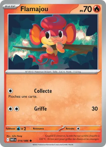 Flamajou · 014